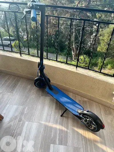 Electric Scooter