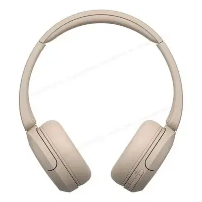 Sony WH-CH520 Headphones