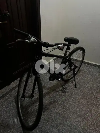 Italian Bike