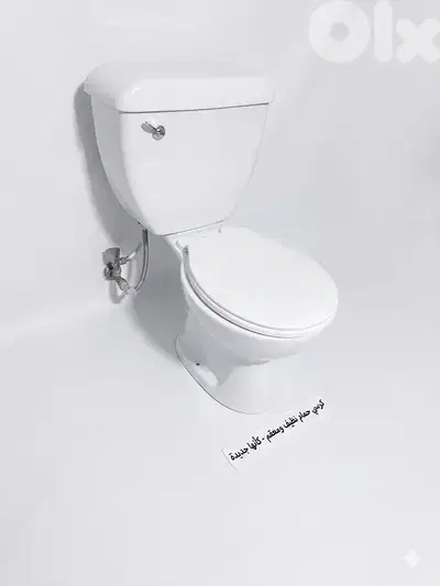 lecico toilet seat