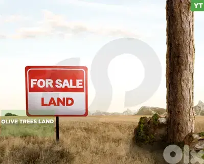 LAND/أرض /Bziza – Koura/بزيزا /agricultural zoning/ REF#YT135699 !