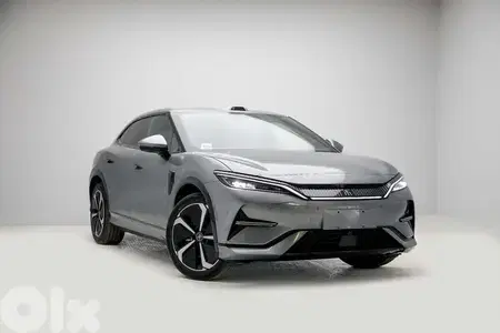 BYD Other 2025
