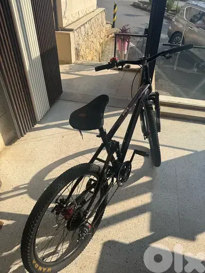 Bicycle + Car Bike Rack (Excellent Condition)