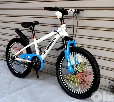 bicycle 20