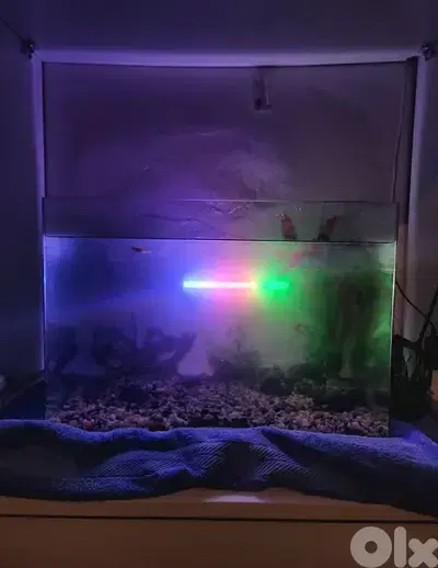 aquarium without fish but with decore all clean and working