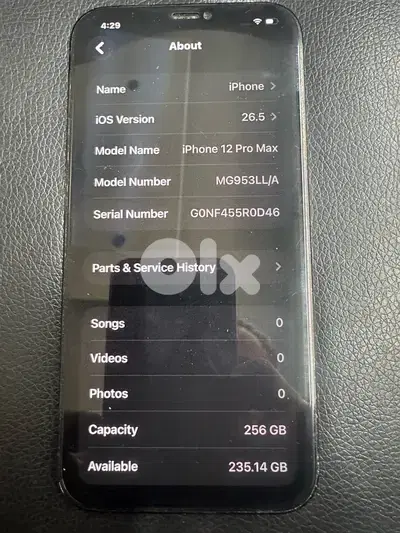 iphone 12 pro max 256gb