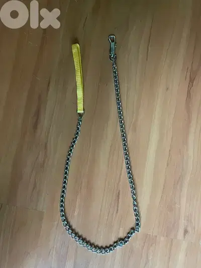 dog leach