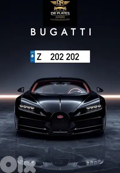رقم سيارة مميز للبيع Z 202 202