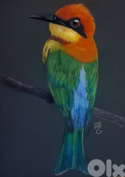bird soft pastel painting لوحة عصفور رسم يد بالباستال