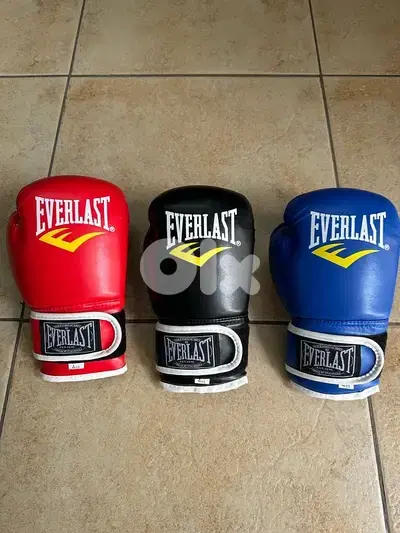 EVERLAST Boxing Gloves