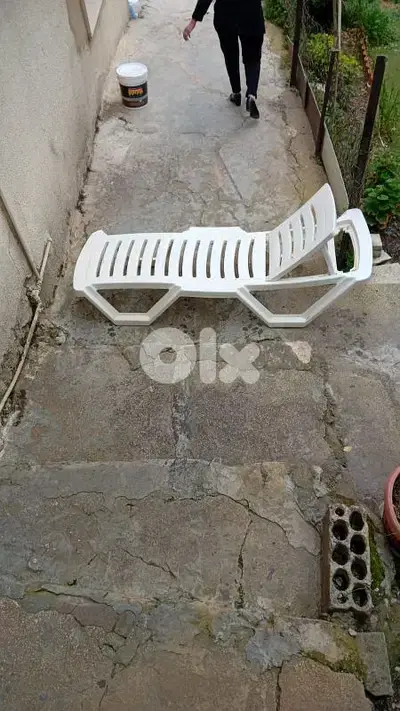 شيزلون  حالته جيده
