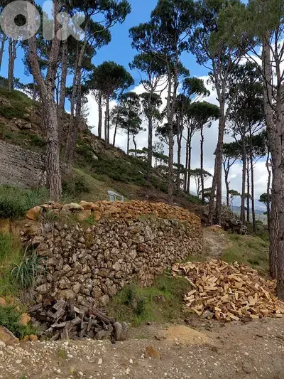 Land for sale in Bmohray Chouf أرض للبيع في بمهري الشوف