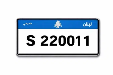 Special plate number