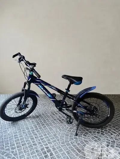 Phoenix special Bikes