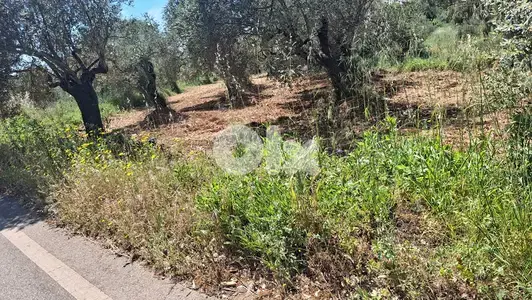 GMN177CM Land for sale in Koura - أرض للبيع في الكورة