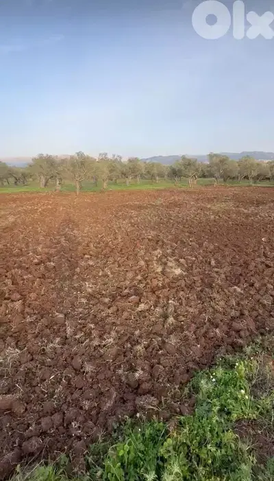 GMN181CM Land for sale in Koura - أرض للبيع في الكورة