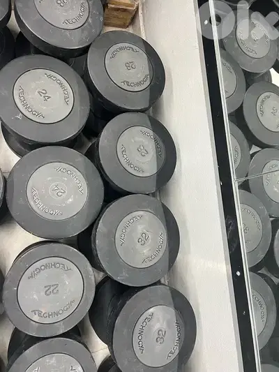 original technogym dumbell set