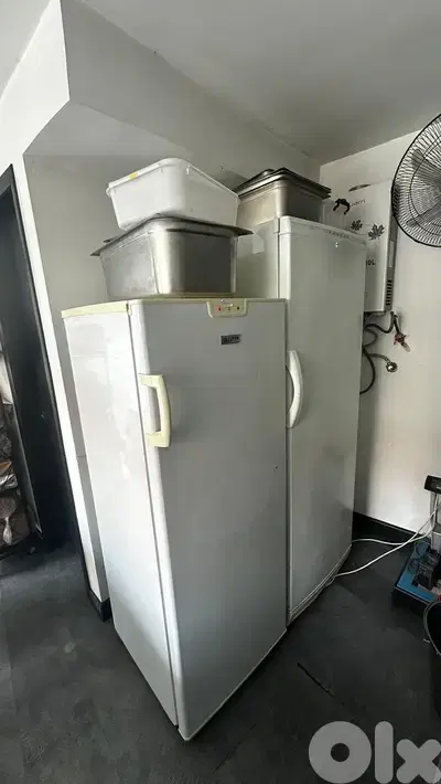 Freezer standing