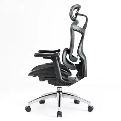 Sihoo Doro C300 ergonomic chair
