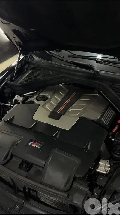 BMW X6 2009