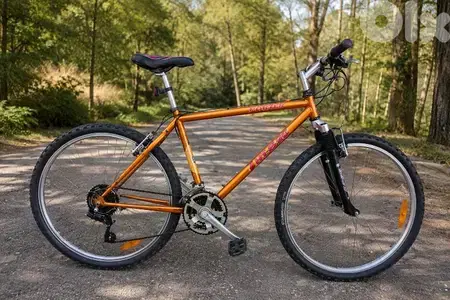 Mountain Bike – $220