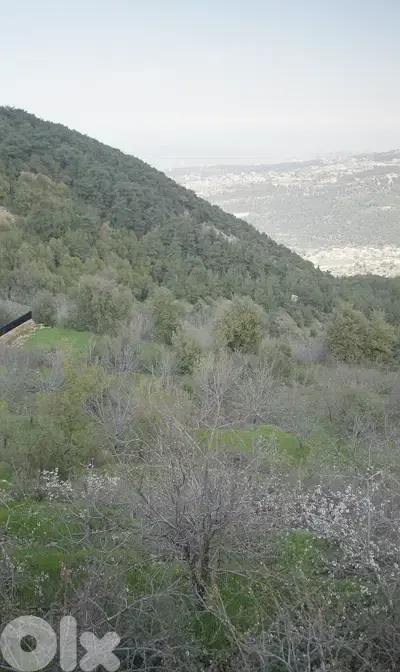 Land for sale in Ejbeh – Zgharta أرض للبيع في إجبع - زغرتا Land for sale in Ejbeh – Zgharta أرض للبيع في إجبع - زغرتا