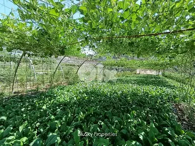 Land For SALE In Safra أرض للبيع #ES