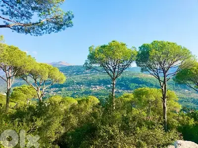 Amazing Land 1700 sqm for Sale in Baabdat – Prime Villa Zone