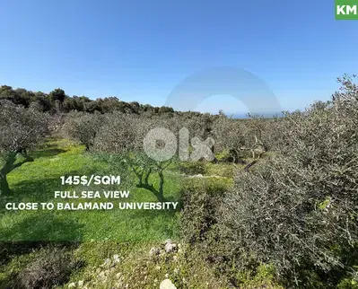 Prime Investment Opportunity, great deal, balamand/بلمند REF#KM133815