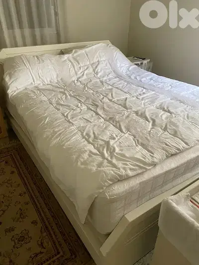 lit 160cm