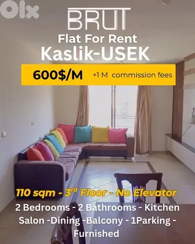 Apartment for rent in Kaslik USEK
