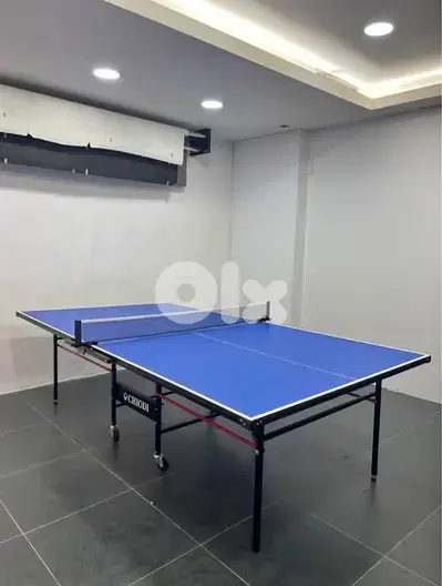 Indoor Table Tennis (Ping Pong Table) – Chiodi | Made in India