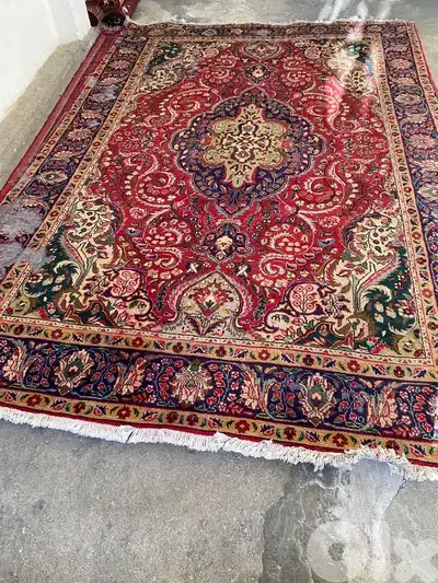 سجاد عجمي عدد ١٦