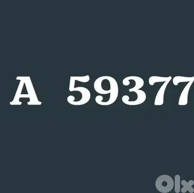 car plate A 59377