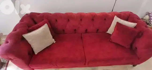 كنباية شسترفيلد بوردو