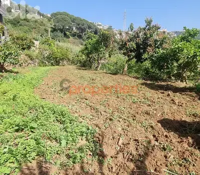 Land For Rent In Kahaleh – CPBMH18