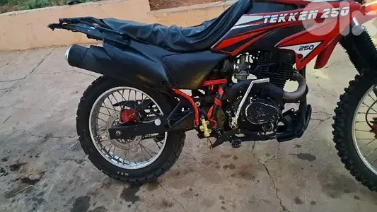 tekin