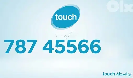 touch number only 240$