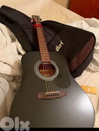 Acoustic guitar