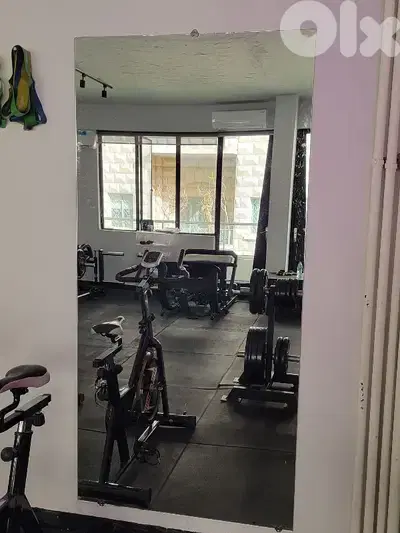 Mirror