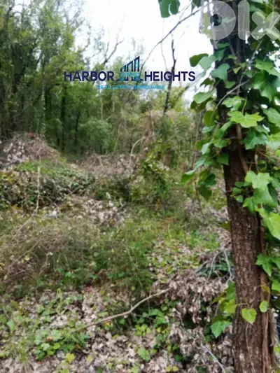 Land for Sale in Lehfed - أرض للبيع في لحفد