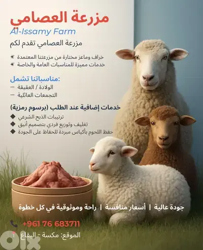 Limited Time Offer!  Premium Lambs at the Lowest Prices