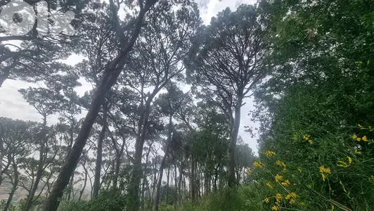 GMC321MAN Land for sale in Beit Chabab - أرض للبيع في بيت شباب