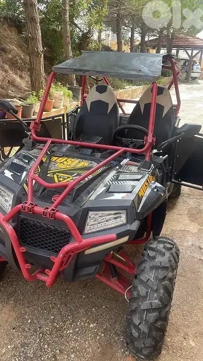Buggy UTV