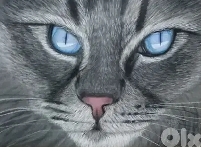 dry pastel cat painting لوحة قط رسم يد بالباستال