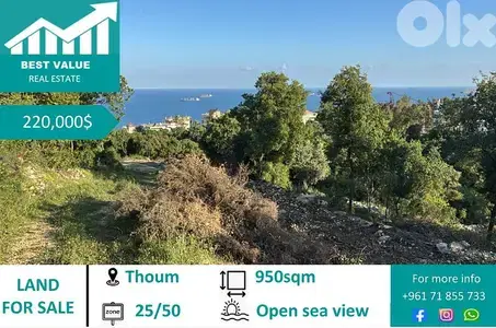Perfect land for sale in Thoum | 1 min from highway