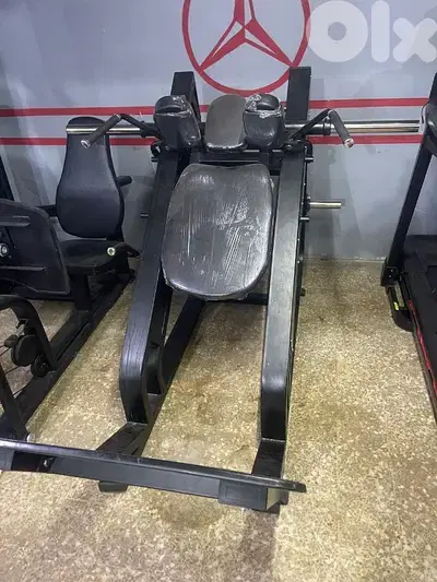 Huck squat heavy duty