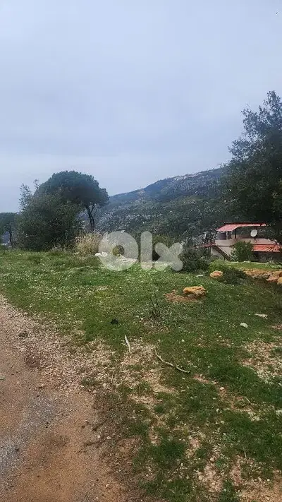 Industrial Land for Rent