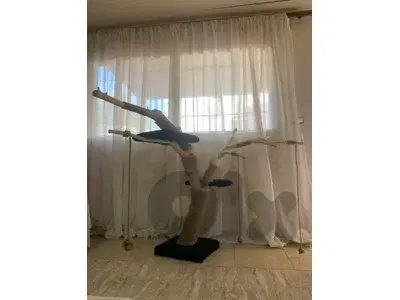 Natural Tree Scratcher