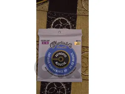 accoustic guitar strings martin